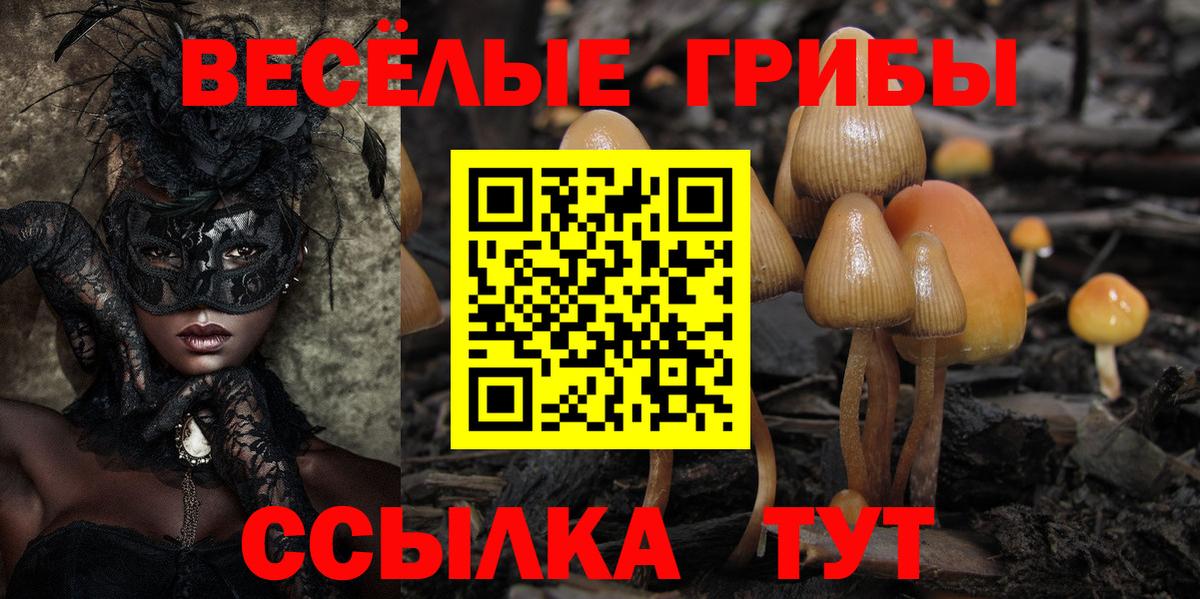Анжеро-Судженск  Галлюциногенные грибы прущие грибы  Вход с VPN 