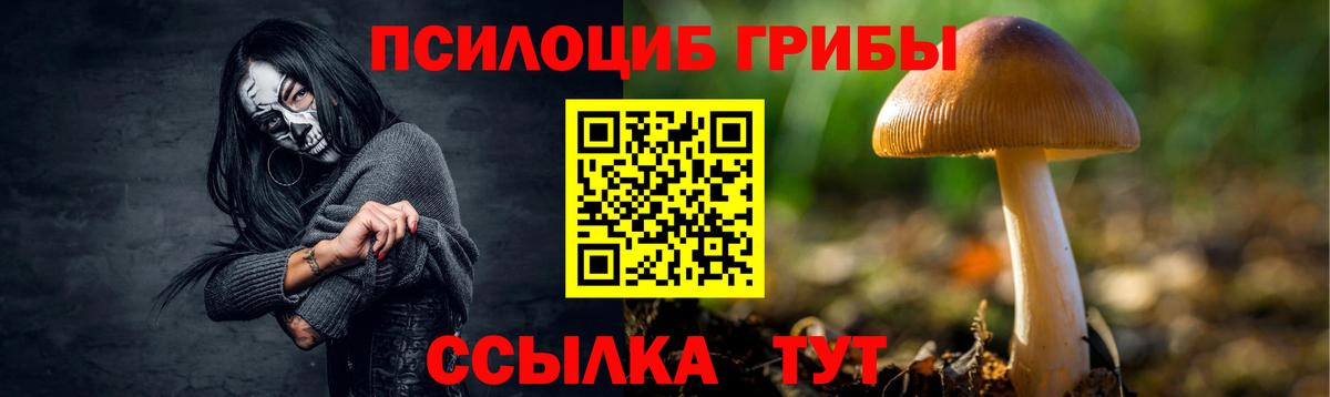 Псилоцибиновые грибы GOLDEN TEACHER Анжеро-Судженск